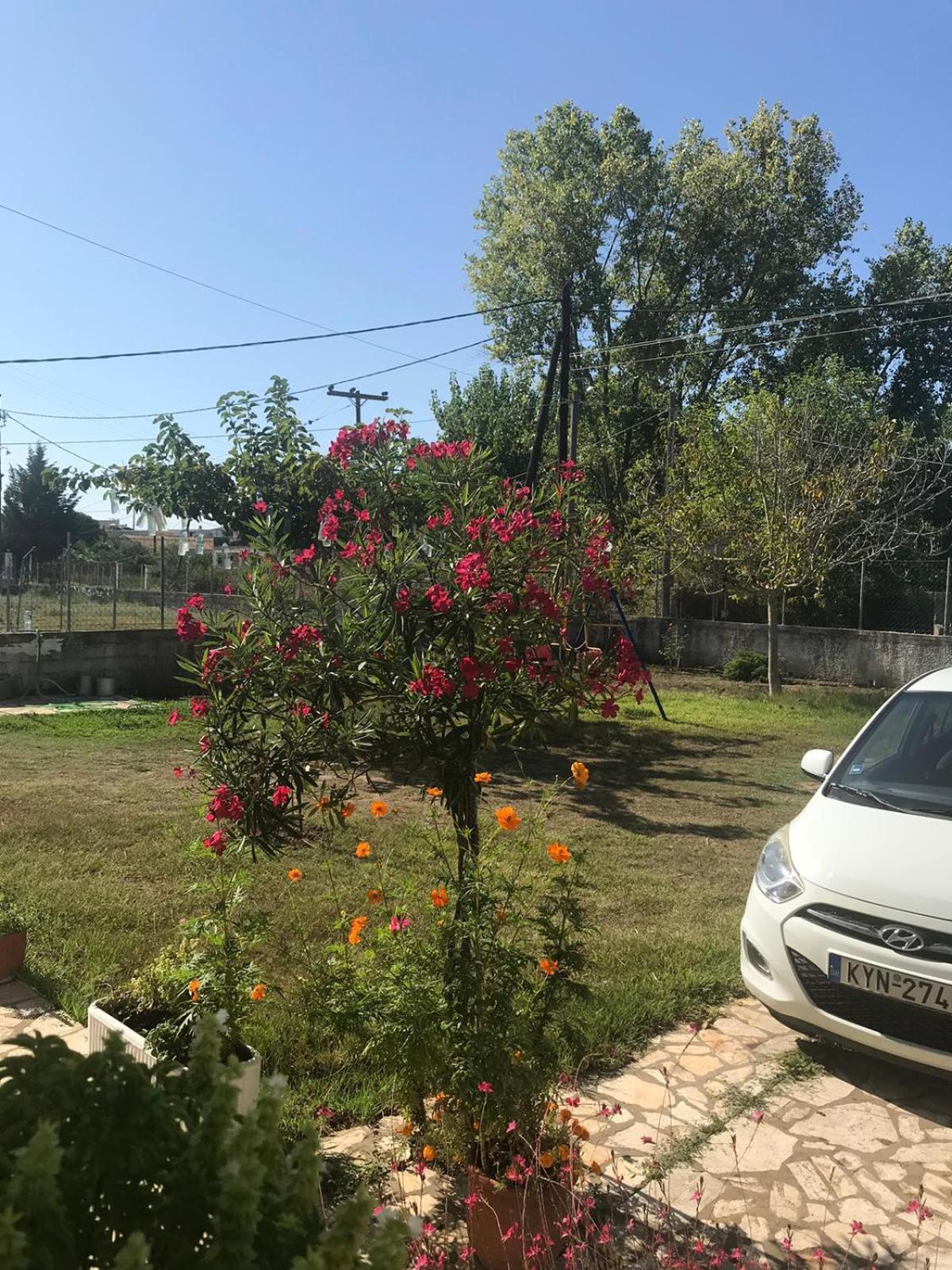 אגיוס גיורגיוס Aristidis Apartments מראה חיצוני תמונה